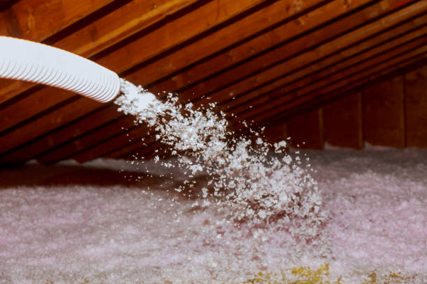 Best Basement Insulation  in St Cloud, FL