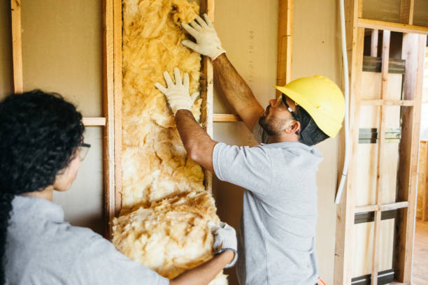 Best Commercial Insulation Services  in St Cloud, FL