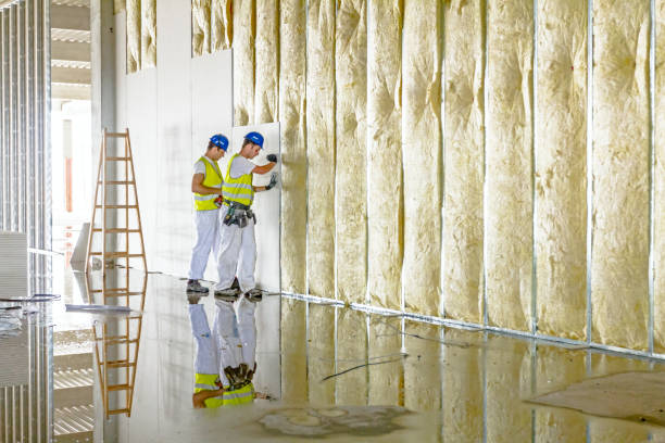 Best Pipe and Duct Insulation  in St Cloud, FL